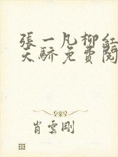 张一凡柳红官道天骄免费阅读笔趣阁封面