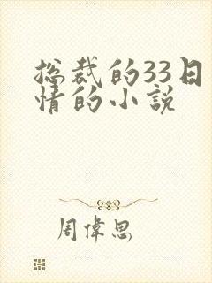 总裁的33日索情的小说封面