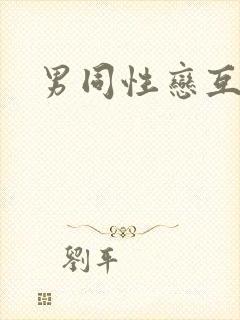 男同性恋互操封面