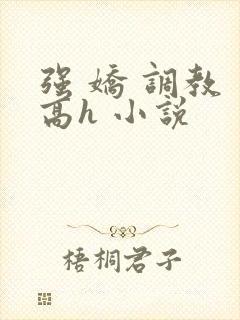 强 娇 调教 高h 小说