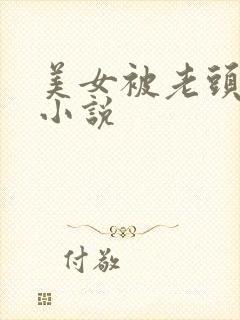 美女被老头调教小说