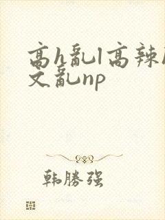 高h乱l高辣h文乱np