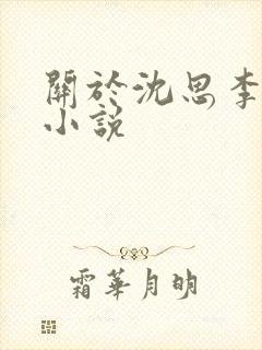 关于沈思李兵的小说