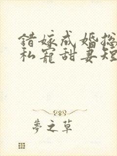 错嫁成婚总裁的私宠甜妻短剧在线观看