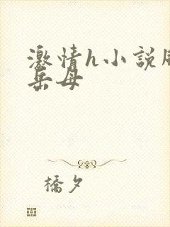 激情h小说风韵岳母封面