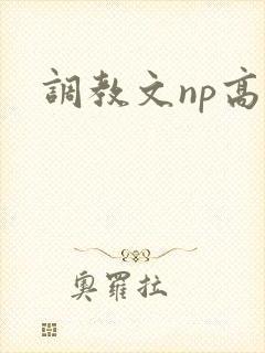 调教文np高h