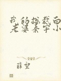 我的总裁白富美老婆秦宇小说读书阁