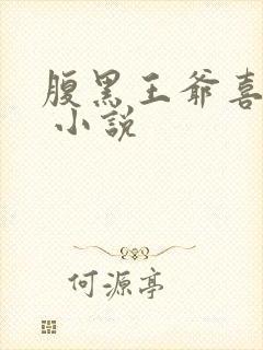 腹黑王爷喜当爹 小说