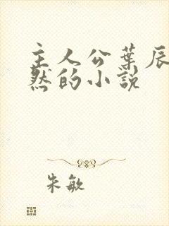 主人公叶辰萧初然的小说