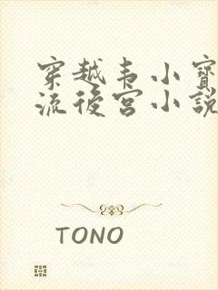 穿越韦小宝之风流后宫小说