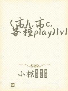 (高h,高c,各种play)1v1
