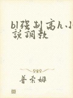 bl强制高h小说调教