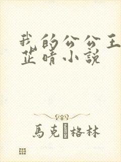 我的公公王大海芷晴小说