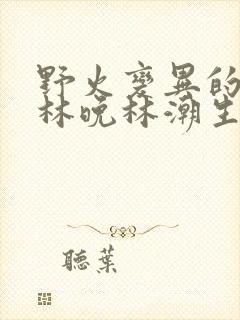 野火变异的父爱林晚林潮生