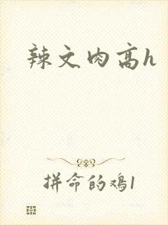 辣文肉高h