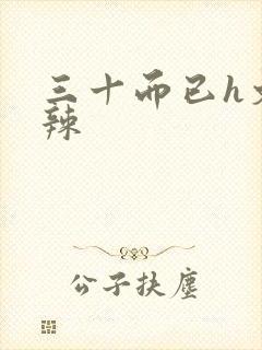 三十而已h文高辣