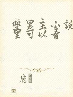 双男主小说在哪里可以看封面