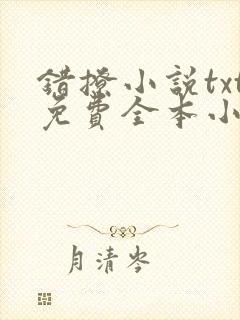 错撩小说txt免费全本小说