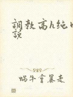 调教高h纯肉小说