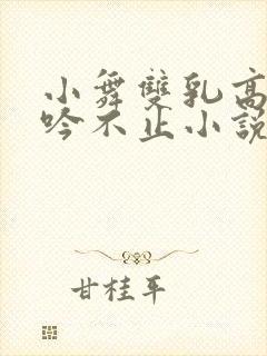 小舞双乳高耸呻吟不止小说封面