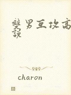 双男互攻高h小说