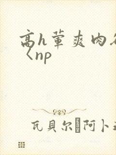 高h荤爽肉欲文〈np
