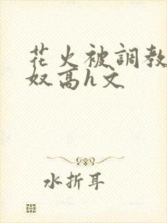 花火被调教成肉奴高h文封面