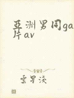 亚洲男同gay片av封面