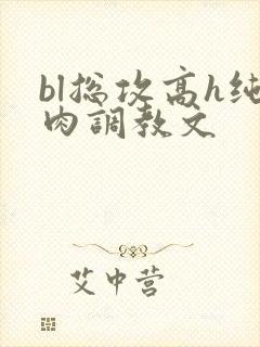 bl总攻高h纯肉调教文