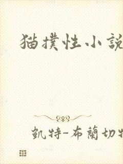 猫扑性小说封面