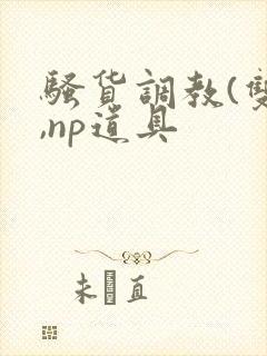 骚货调教(双性,np道具