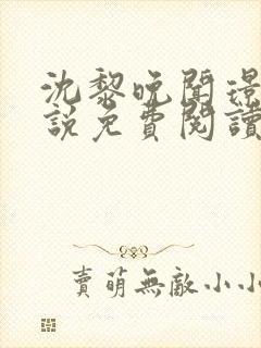 沈黎晚闻璟川小说免费阅读最新章节