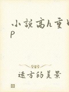小说高h重口np
