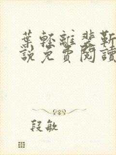 叶轻离裴靳墨小说免费阅读无弹窗封面