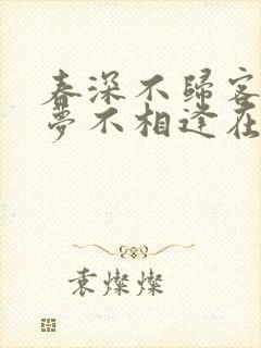 春深不归客,清梦不相逢在线阅读封面