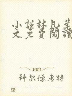 小说林凡叶惜全文免费阅读全文封面