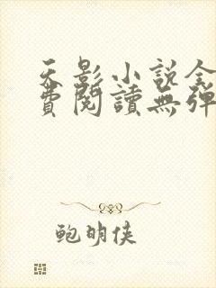 天影小说全文免费阅读无弹窗