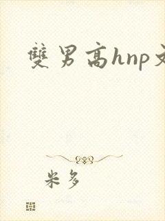 双男高hnp文