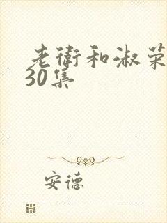 老卫和淑荣1一30集封面