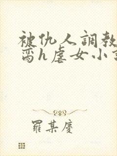被仇人调教成禁脔h虐女小说封面