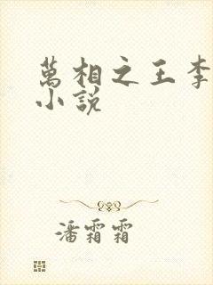 万相之王李洛的小说封面