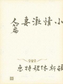 人妻激情小说短篇