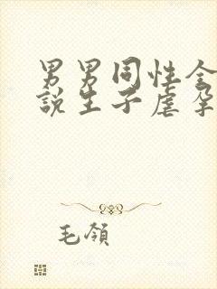 男男同性全肉小说生子虐孕封面