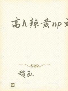 高h辣黄np文