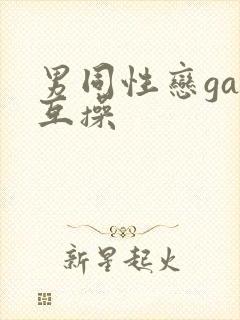 男同性恋gay互操