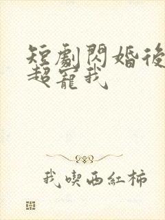 短剧闪婚后大叔超宠我封面
