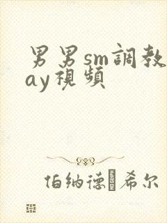 男男sm调教gay视频