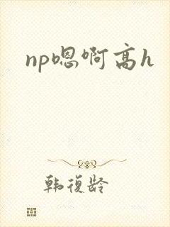 np嗯啊高h封面