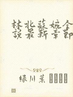 林北苏婉全本小说最新章节