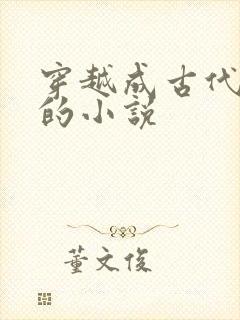 穿越成古代王爷的小说